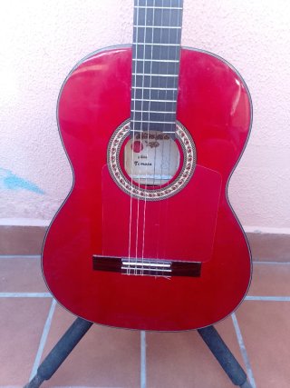 Guitarra flamenca autoamplificada