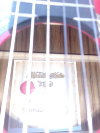 Guitarra flamenca autoamplificada