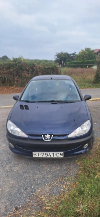Peugeot 206 1999