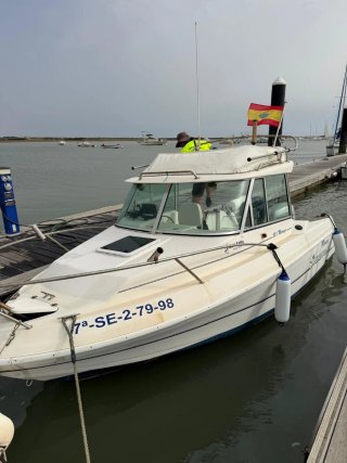 Barco faetón Moraga 550