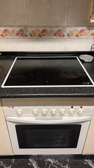Vitrocerámica y horno Fagor