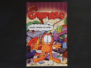 GARFIELD PS2