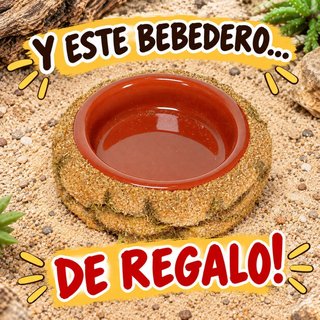 Dúo Refugios Reptiles: Cueva Fría y Caliente