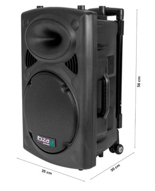 Altavoz Ibiza Sound PORT12VHF-BT 12