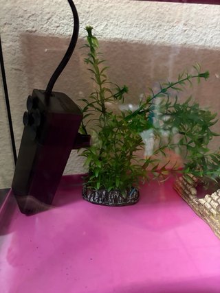 Acuario 20L