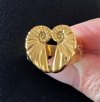 Arena Roja Coastal Ring