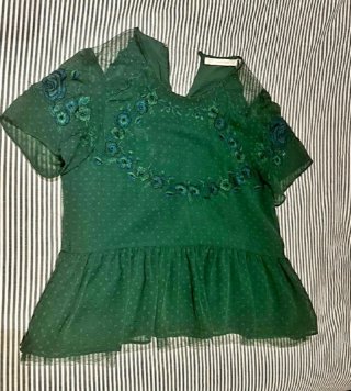 Blusa Zara verde bordada