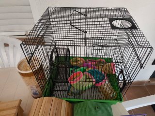 JAULAS DE HAMSTER