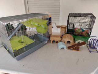 JAULAS DE HAMSTER