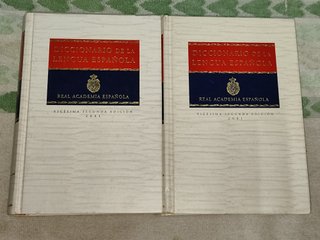 Diccionario RAE de la lengua española 2 tomos