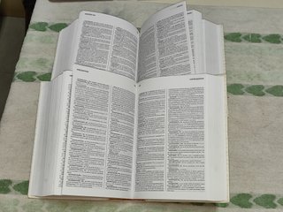 Diccionario RAE de la lengua española 2 tomos
