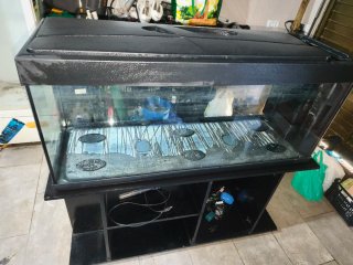 Acuario grande