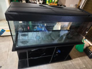 Acuario grande
