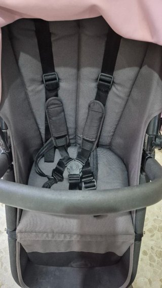 Bugaboo Camaleón Rosa