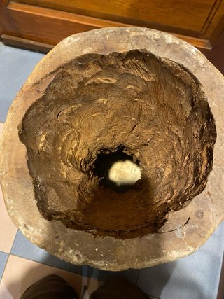 Djembe / Yembé africano artesanal de madera maciza