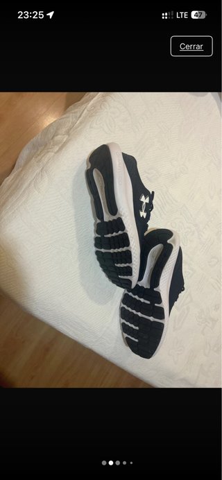 Zapatos running Under Armour UA charged surge 4