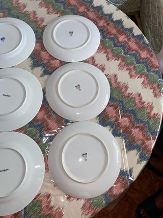 6 Platos de Porcelana Blancos