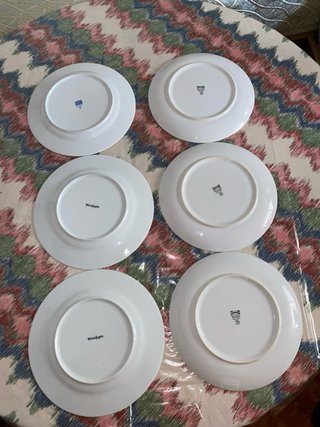 6 Platos de Porcelana Blancos