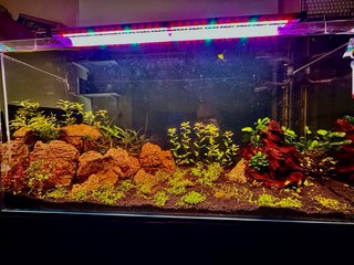 Acuario Aquael OptiTank 100 + Mueble