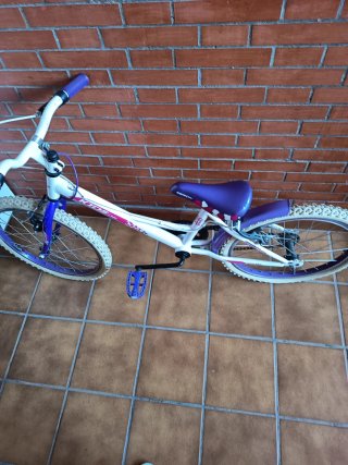 Bicicleta infantil blanca y morada