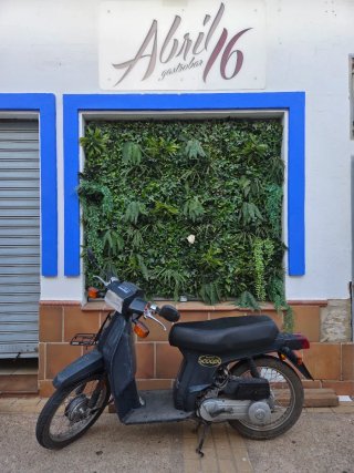 Honda Scoopy Negra/Gris
