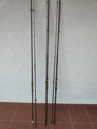 Cañas de Carpfishing