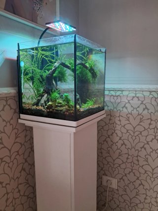 Acuario 30L con mueble