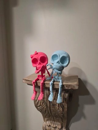 Esqueletos 3D Coração