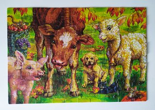 Cubo 10 Puzzles Infantiles The Canadian Group