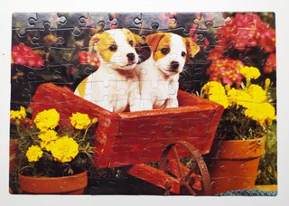 Cubo 10 Puzzles Infantiles The Canadian Group