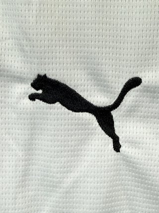 Camiseta Puma Valencia CF 2025/2026