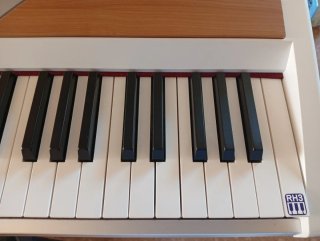 Piano Korg SP 250 como nuevo