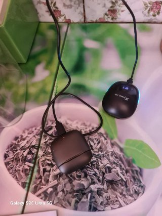 Auriculares Bluetooth Negro Mate