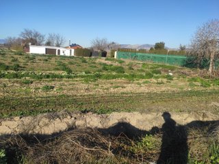 fincas regadio en Churriana Vega y las Gabias
