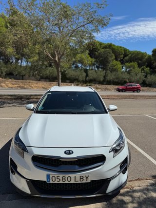 KIA XCeed 2020 PEGATINA C REVISIONES EN CASA OFICI