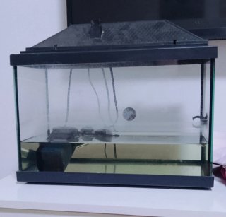 Pecera 20L con filtro y calentador