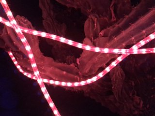 Tiras LED Redondas Rojas