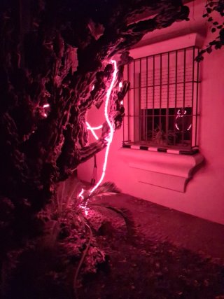 Tiras LED Redondas Rojas