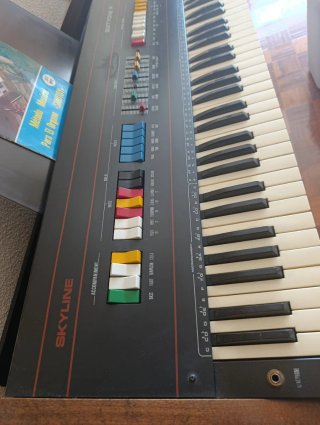 Organo Vintage Skyline Sixtyone P