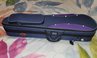 Violín 3/4 con funda y arco