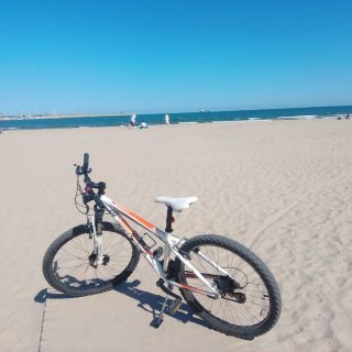 Bicicletas