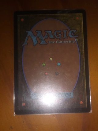 Magic Shamanic Revelation SOA EN