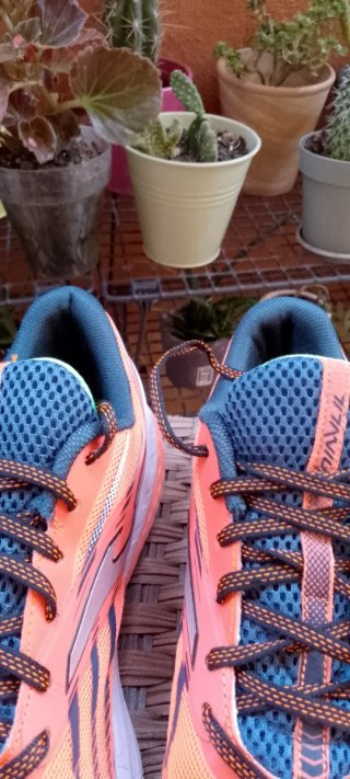 Zapatillas Joma Titanium Talla 43