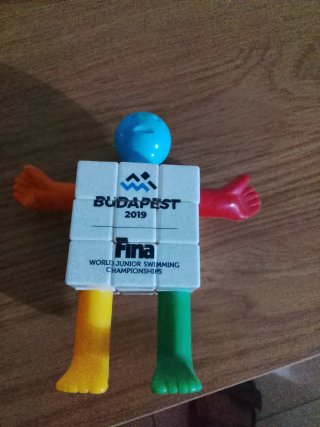 Cubo Rubik Budapest 2019 FINA