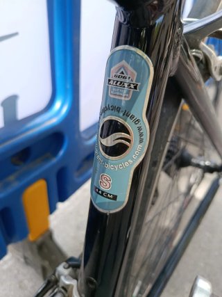 Bicicleta Giant oct
