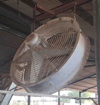 7 Ventiladores / extractores III sala ordeño.