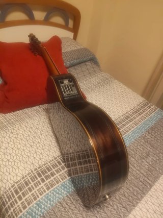 Guitarra flamenca amplificada