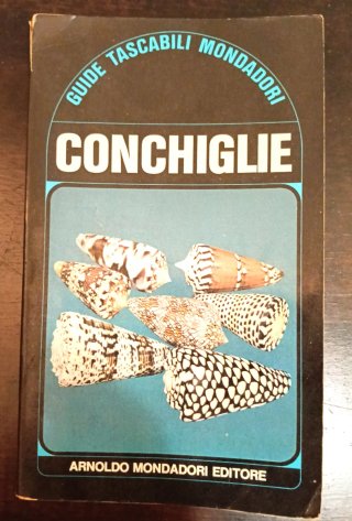 Guida Tascabile Mondadori Conchiglie