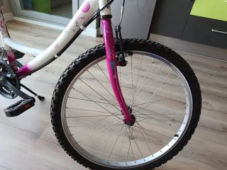 Bicicleta 24 pulgadas