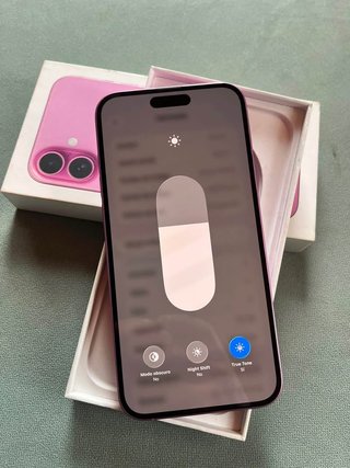 iPhone 16 Plus 256GB Rosa 95% Batería